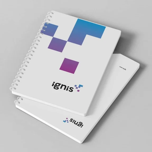 two manuals laid out on flat surface